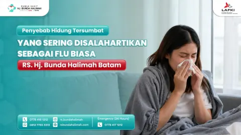 Penyebab Hidung Tersumbat yang Sering Disalahartikan sebagai Flu Biasa